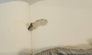 altered-book-cafam-022017